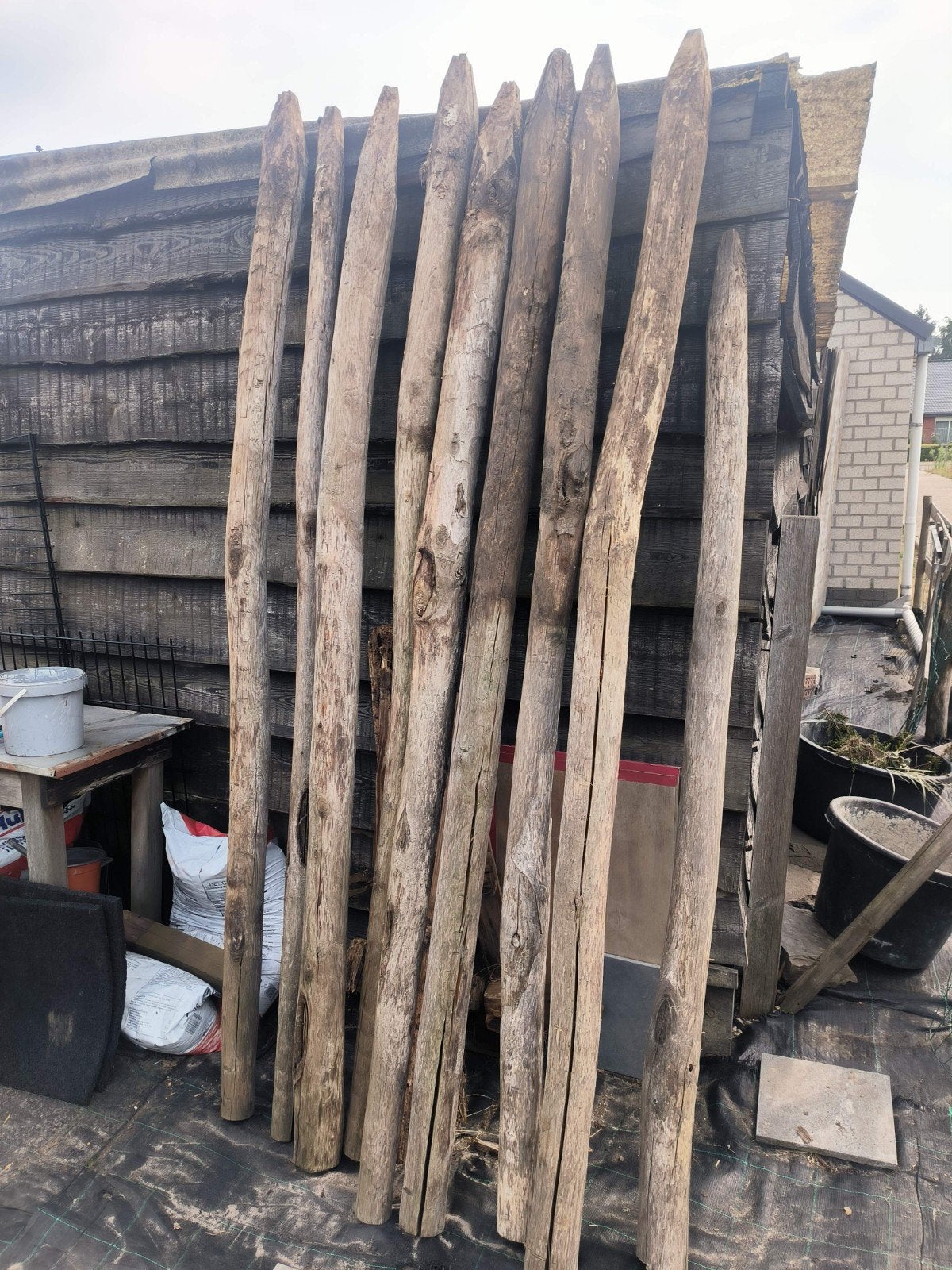 Kastanje palen, Ophalen, Nieuw, 180 tot 250 cm, Palen