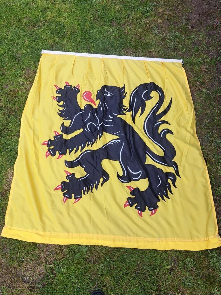 Oude vlag Vlaamse Leeuw ( Met draagringen  ), Ophalen of Verzenden
