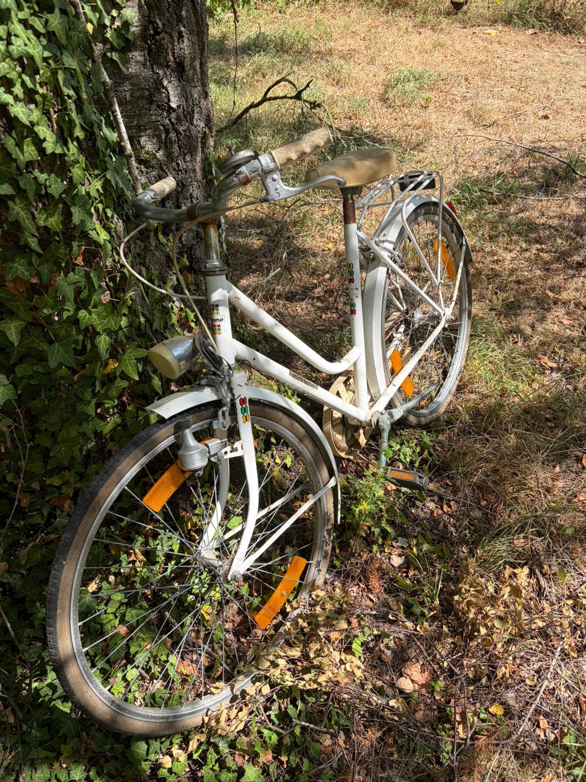 Ancien velo a rénover, Vélos & Vélomoteurs, Enlèvement, Utilisé