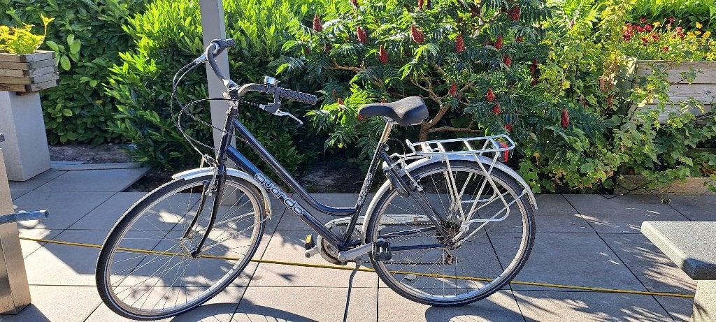 Ideale kotfiets, Vélos & Vélomoteurs, Vélos | Femmes | Vélos pour femme, Enlèvement, Utilisé