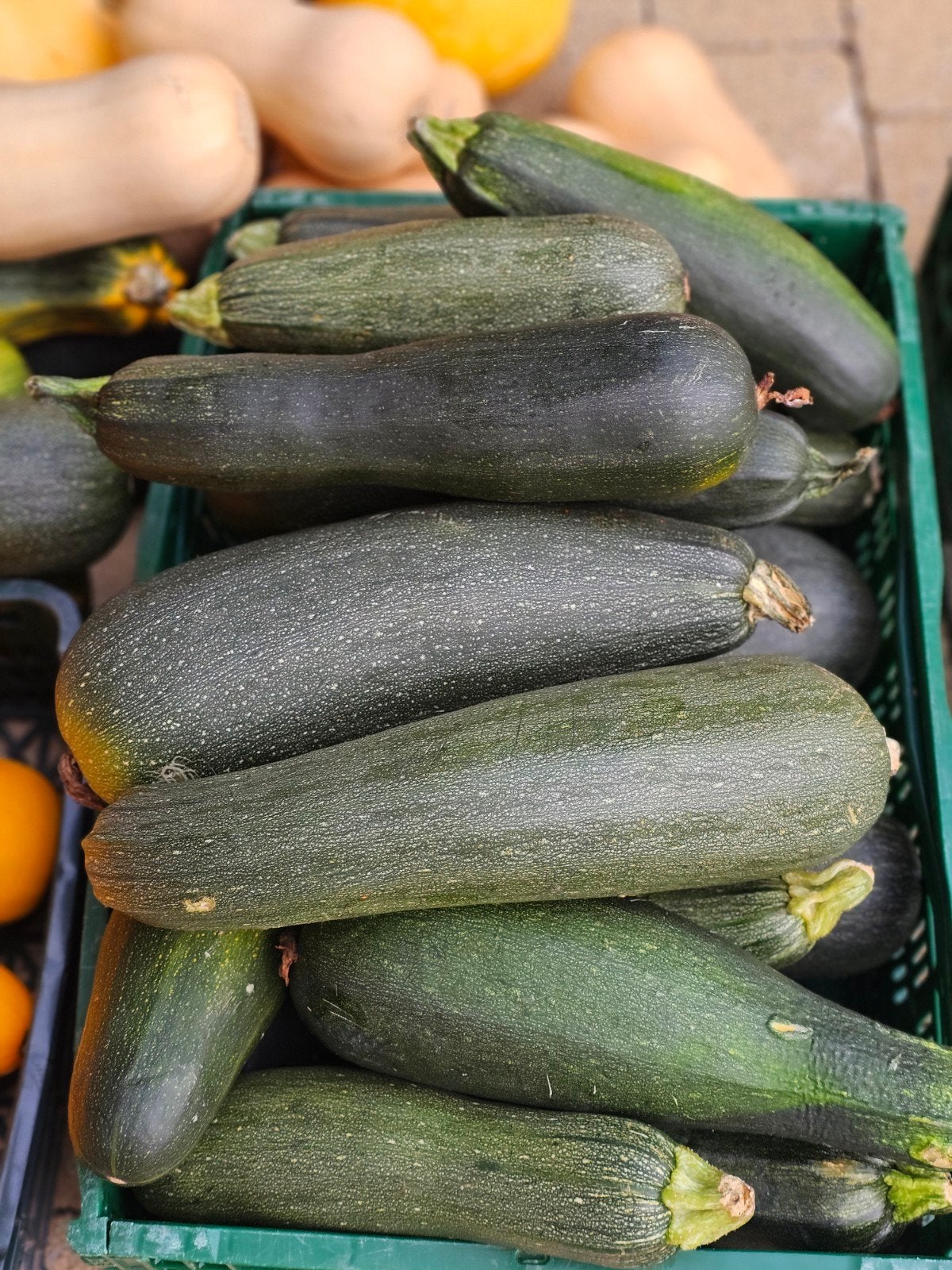Groene courgette (Bio ), Ophalen