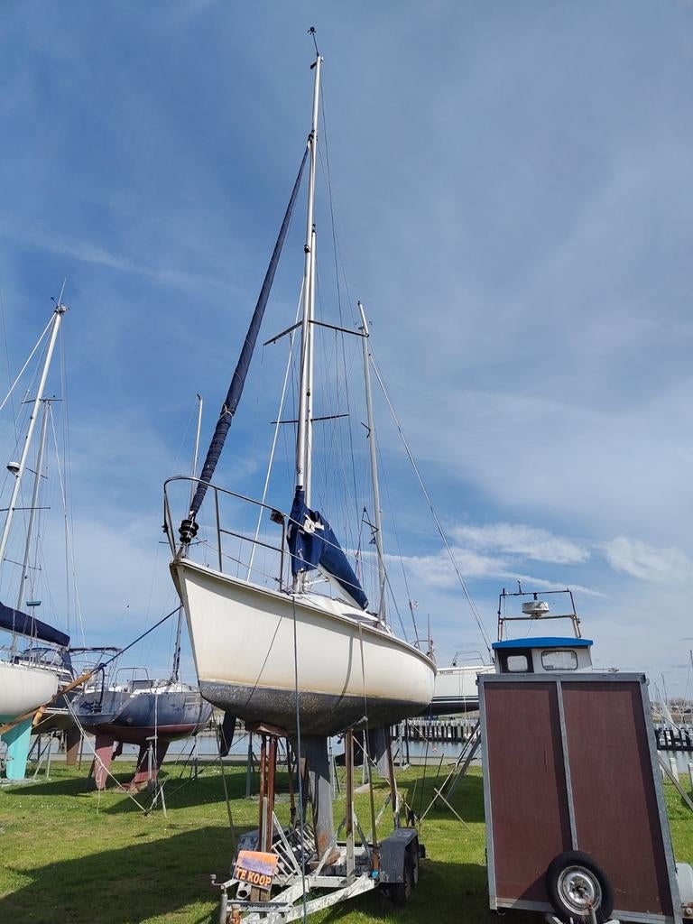 Zeilboot Surprise in Nieuwpoort, Watersport en Boten, Kajuitzeilboten en Zeiljachten, Ophalen, Gebruikt, Tour-wedstrijdjacht, 6 tot 9 meter