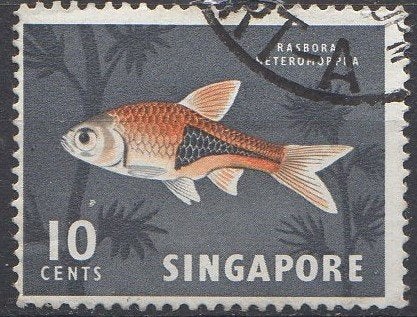 Singapore - Kegelvlekbarbeel - 1962, Ophalen of Verzenden, Gestempeld