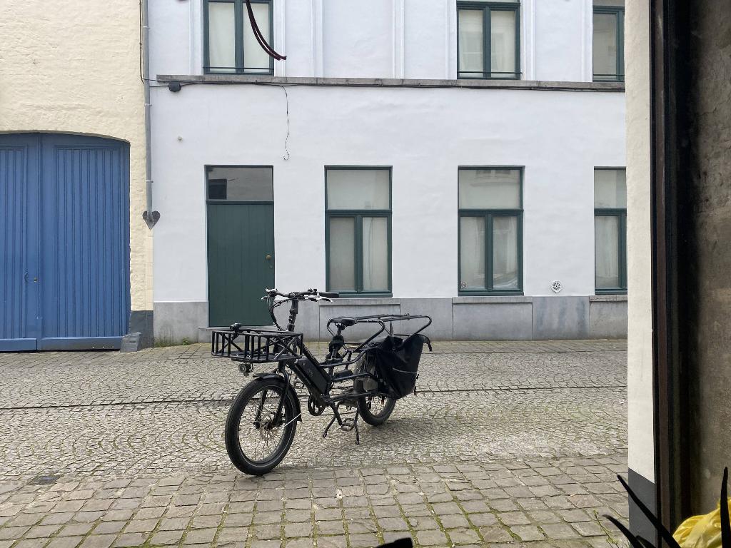 Te koop: RadWagon 4 longtail bakfiets, Fietsen en Brommers, Gebruikt, Elektrisch, 2 kinderen, Schijfrem