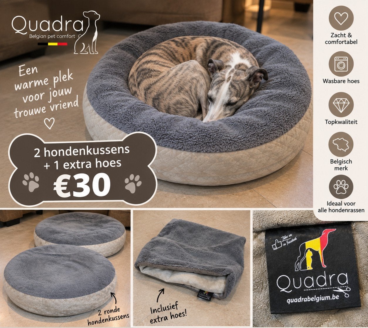2 HONDENKUSSENS + EXTRA HOES – €30, Dieren en Toebehoren, Ophalen