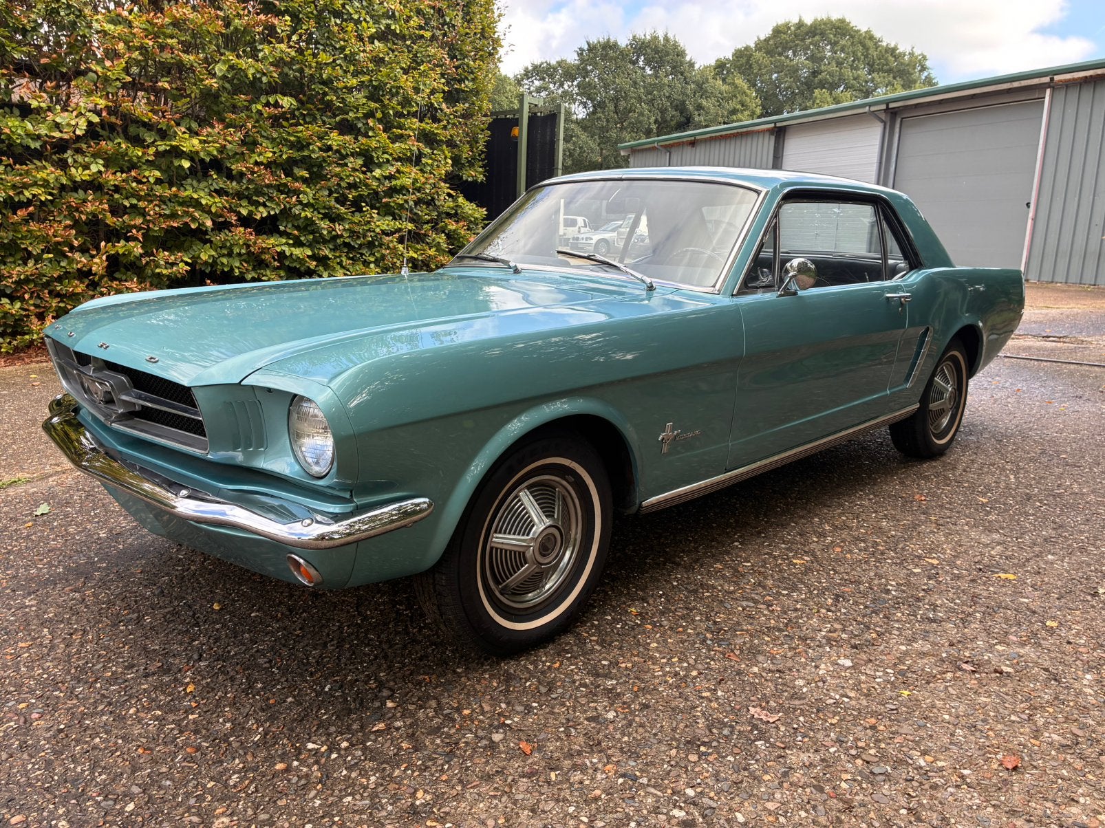 Ford Mustang 1965, Cuir, Achat, Entreprise, Bleu