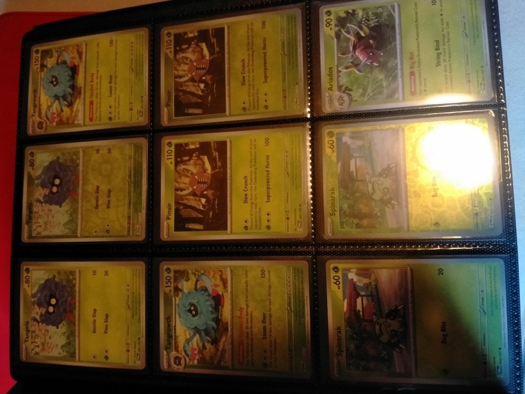 POKEMON COMPLETE BASE SET TWMASQ BOOSTERFRESH!, Enlèvement
