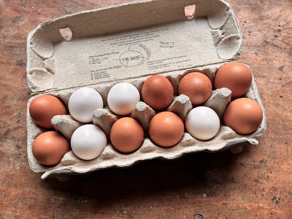 Œufs frais poulets élevés en liberté - par 12, Divers, Enlèvement