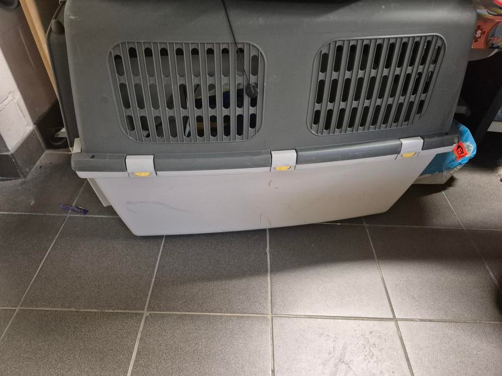 Grote reisbench, Dieren en Toebehoren, Ophalen