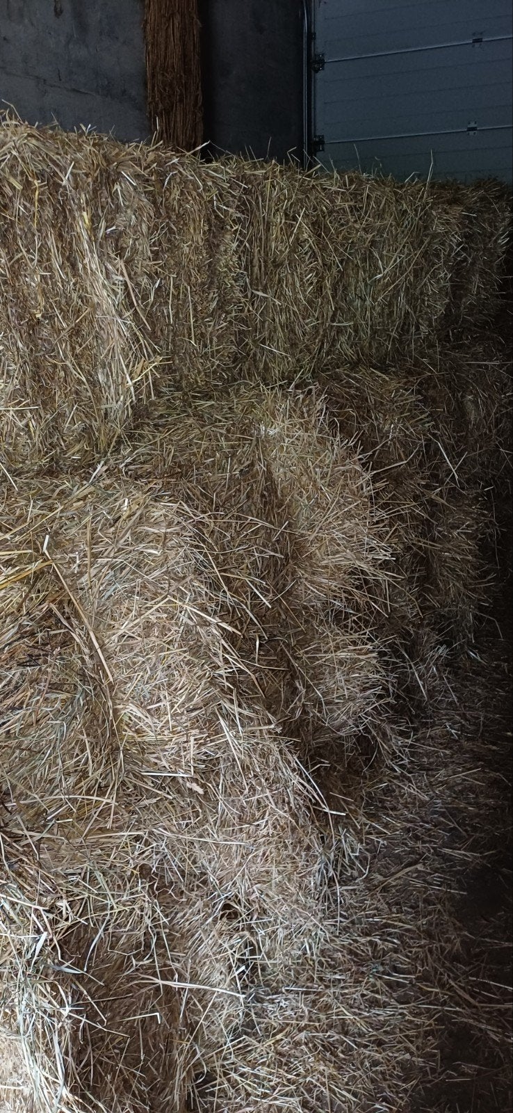 Hooi te koop, Dieren en Toebehoren, Ophalen