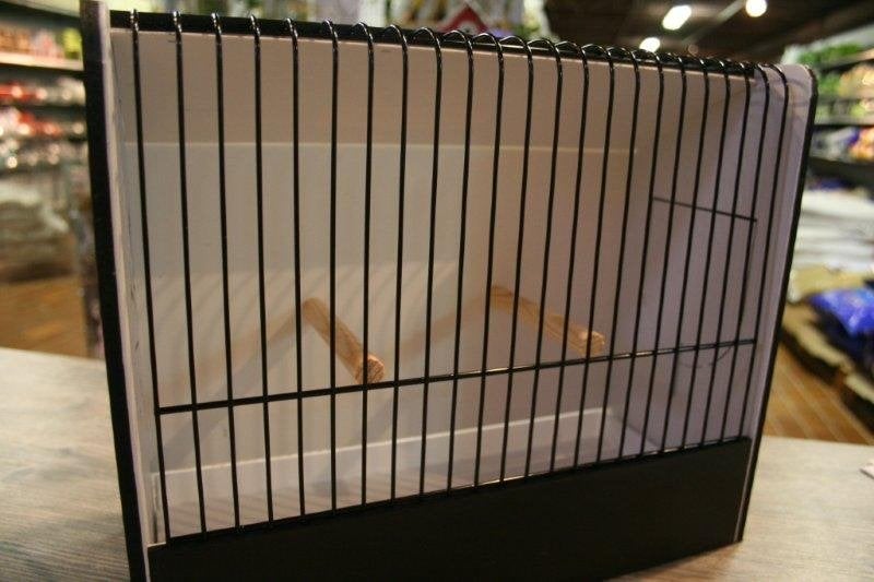 PROMO PVC TT KOOIEN 10+1 GRATIS, Ophalen, Nieuw, Kunststof, Vogelkooi