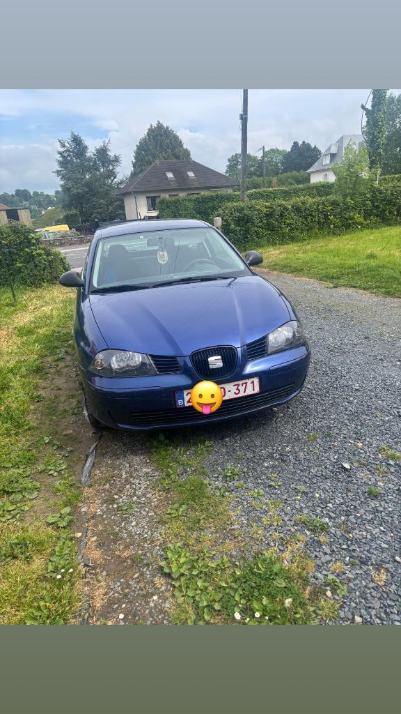 Seat Ibiza 2002, Autos, 57 kW, Achat, Boîte manuelle, Ibiza