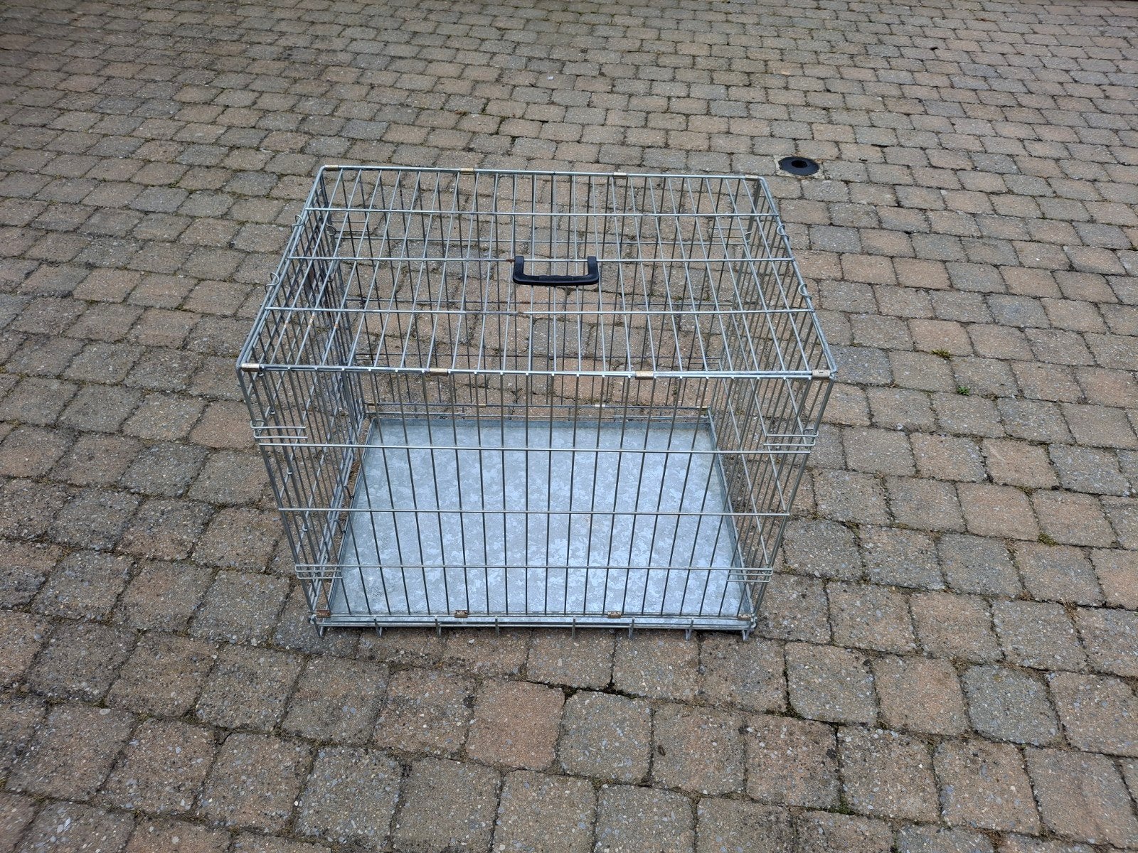 Benche, Dieren en Toebehoren, Ophalen