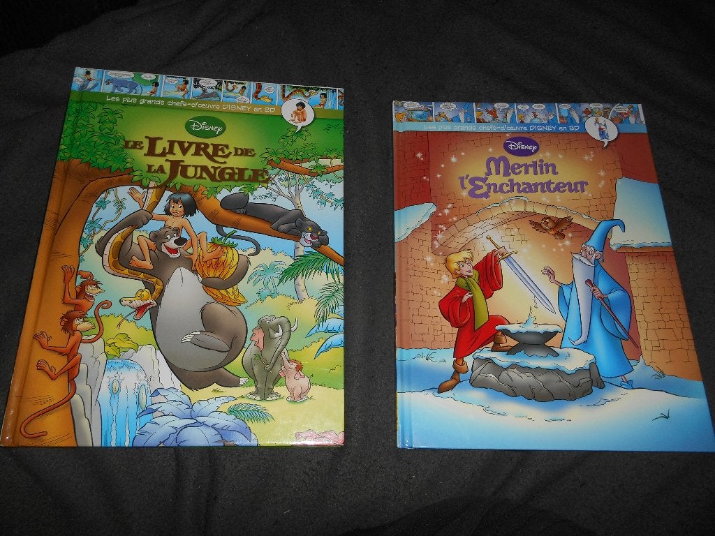 Lot de 2 BD Disney, Verzamelen, Ophalen of Verzenden