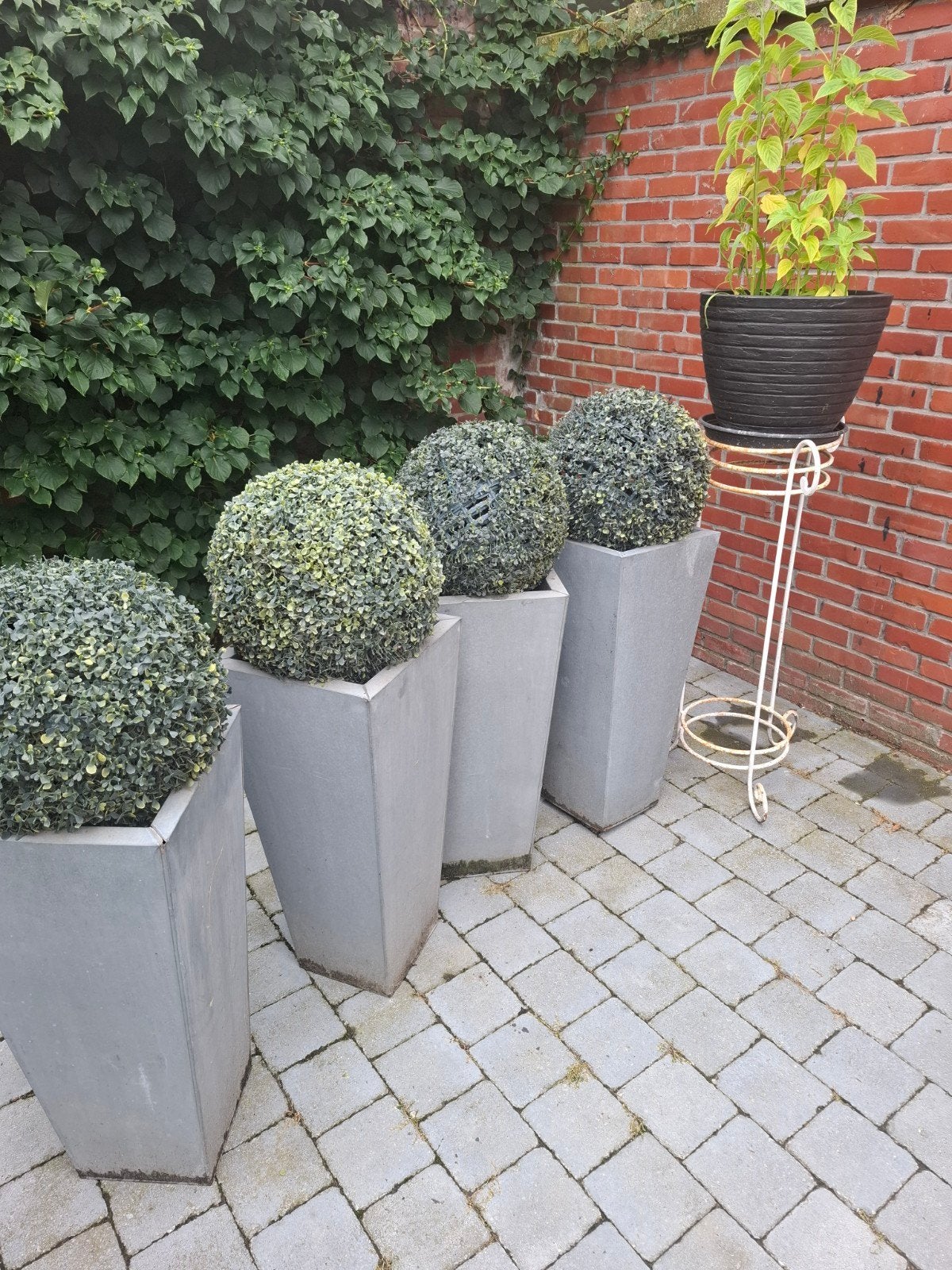 mooie plantenbakken met buxusbollen
Te koop: 4 mooie, hoge g, Ophalen, Tuin