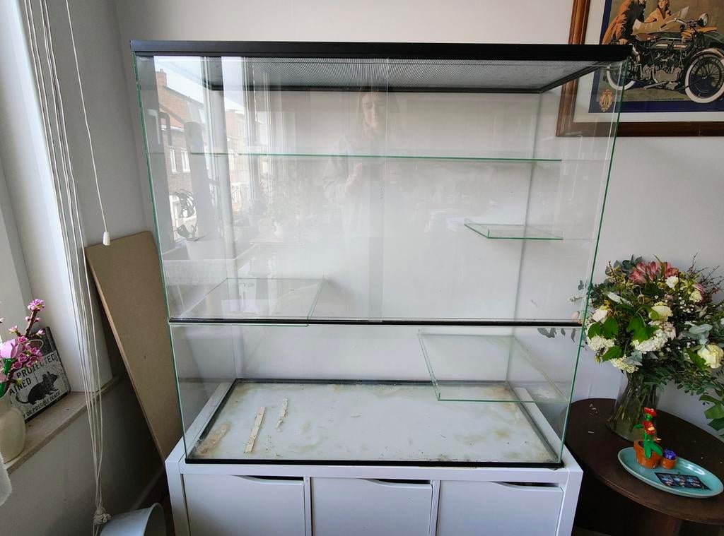 Glazen knaagdierenkooi 100x100x40cm, Dieren en Toebehoren, Ophalen