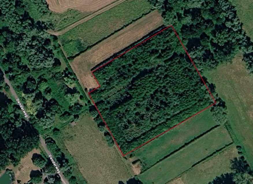 Bos te koop, Gijzegem, Verkoop zonder makelaar, 1500 m² of meer