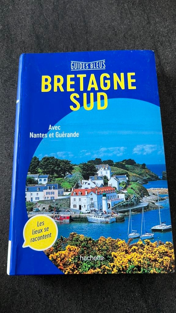 Guide Bleu Bretagne Sud (2020), Boeken, Ophalen of Verzenden, Gelezen