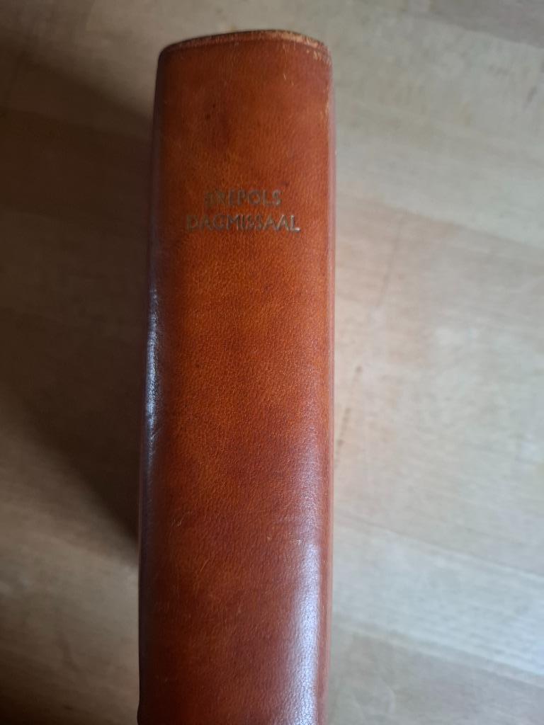 Brepols Dagmissaal, Ophalen of Verzenden, Gelezen, Christendom | Katholiek