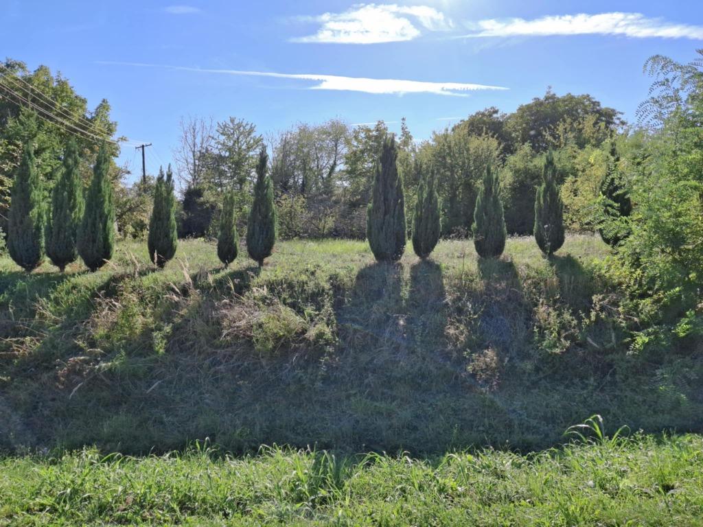 Becefa, goed gelegen grondstuk #1568, Immo, Étranger, Terrain ou Parcelle, Becefa, Europe autre, Village