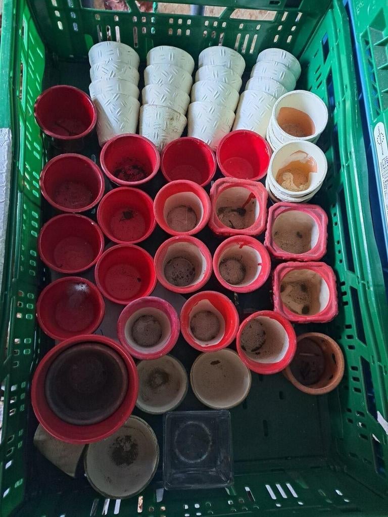 Petits pots (pot de fleurs)€4,00 pour tout, Enlèvement
