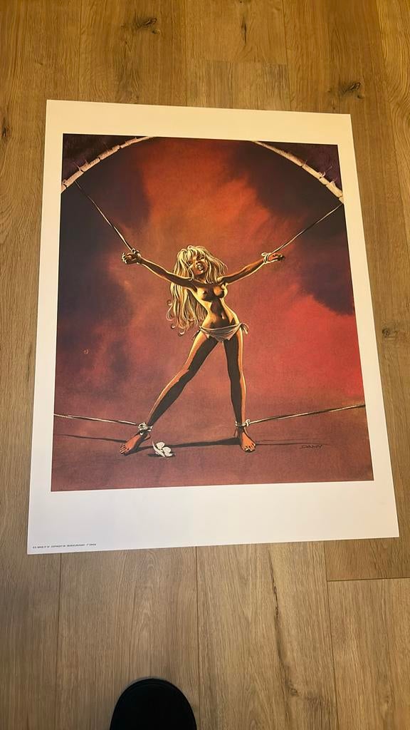 Dany print Rosehip Pigeon Wing Battle 1985, Collections, Enlèvement ou Envoi, Comme neuf