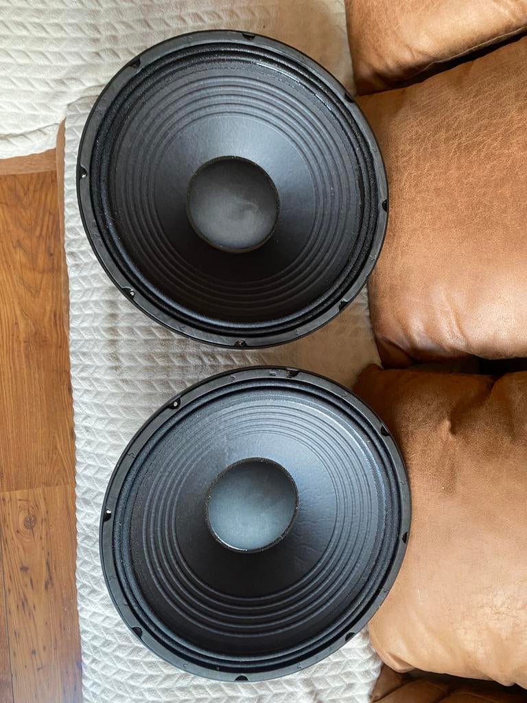 Nieuwe 15 inch speakers, Ophalen, Nieuw