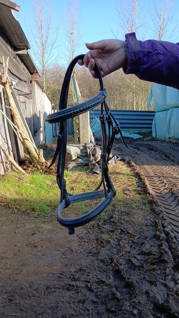 Hoofdsten + neusriem, Ophalen