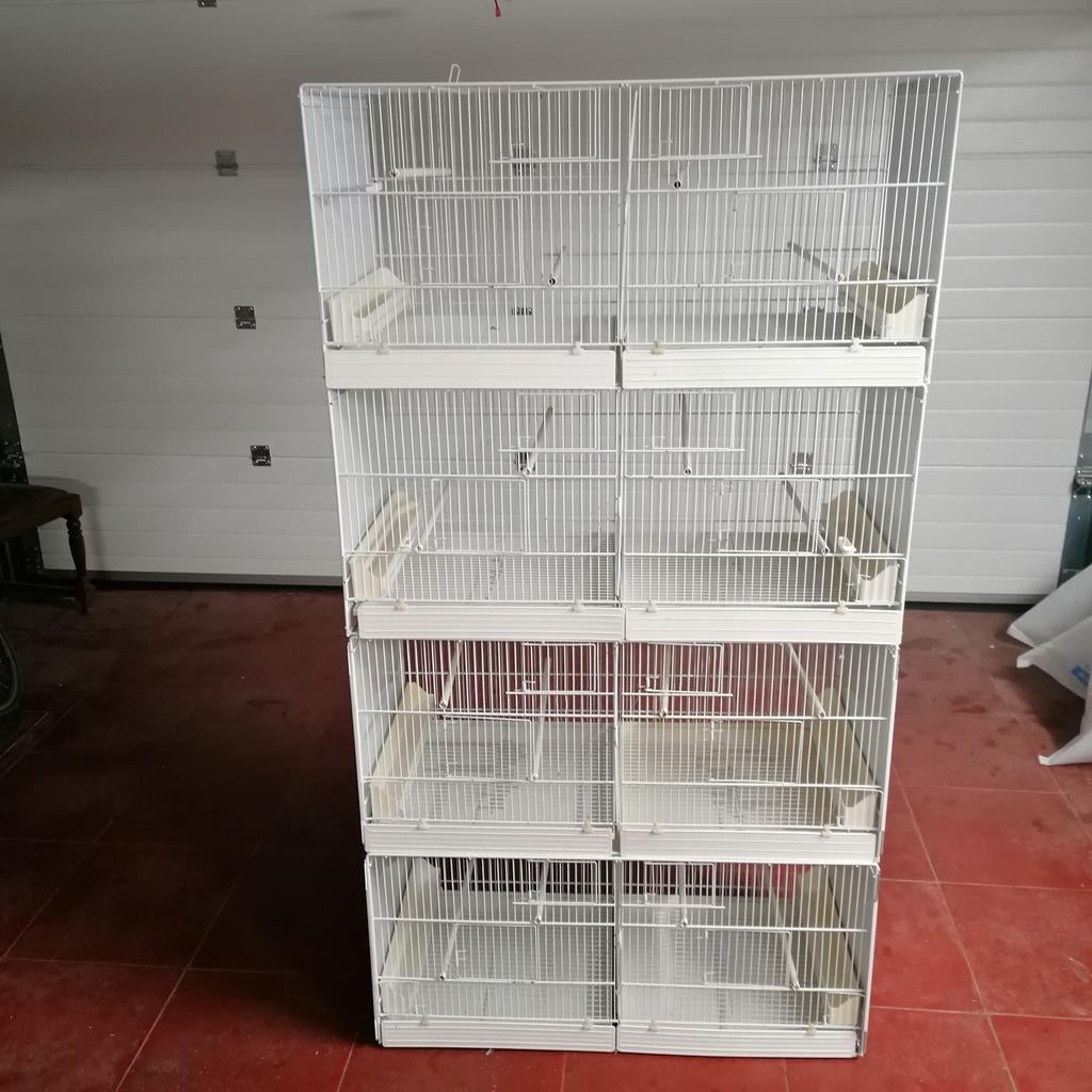 4 cage d'élevage 90 cm 300 € pour les 4, Animaux & Accessoires, Enlèvement ou Envoi, Cage d'élevage