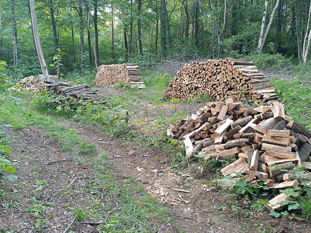Bois de chauffage, Tuin en Terras, Eikenhout, Ophalen of Verzenden, 6 m³ of meer, Blokken