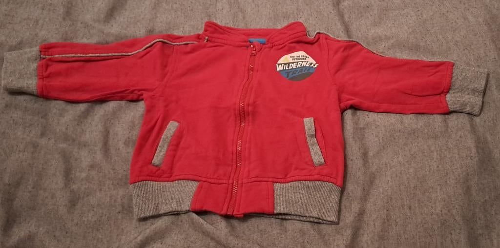 ~ Truitje ( maat 86), Kinderen en Baby's, Babykleding | Maat 86, Truitje of Vestje, Ophalen of Verzenden, Zo goed als nieuw, Hema