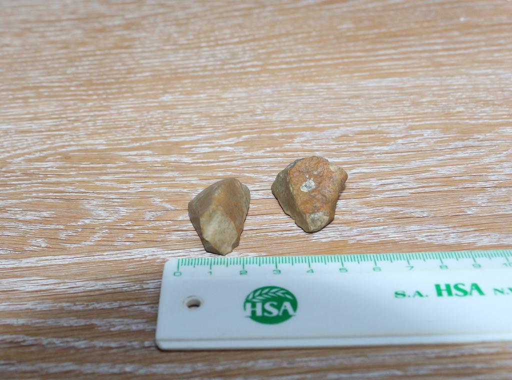 2 prehistorische werktuigjes, misschien speerpunten, Ophalen of Verzenden, Overige typen