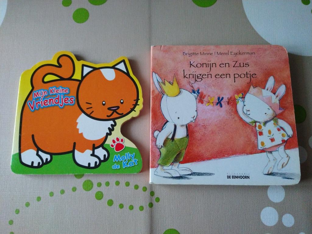 Mijn kleine vriendjes / Konijn en Zus krijgen een potje, Enlèvement