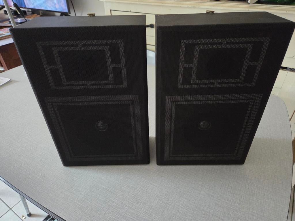 2 boxen Realistic., Audio, Tv en Foto, Luidsprekerboxen, Ophalen of Verzenden, Zo goed als nieuw, Minder dan 60 watt