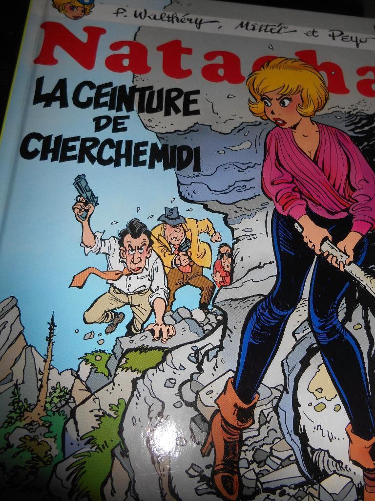 Natacha 15 eo, Livres, BD, Enlèvement ou Envoi