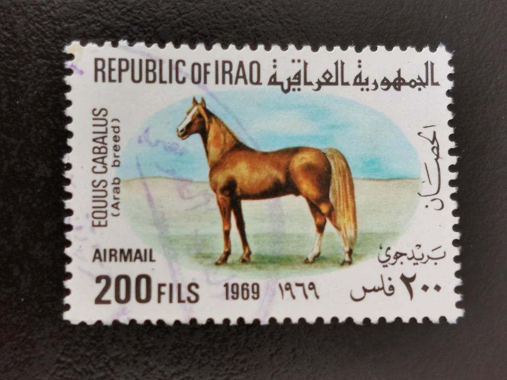 Irak 1969 - Cheval arabe, étalon arabe, Enlèvement ou Envoi, Affranchi, Moyen-Orient
