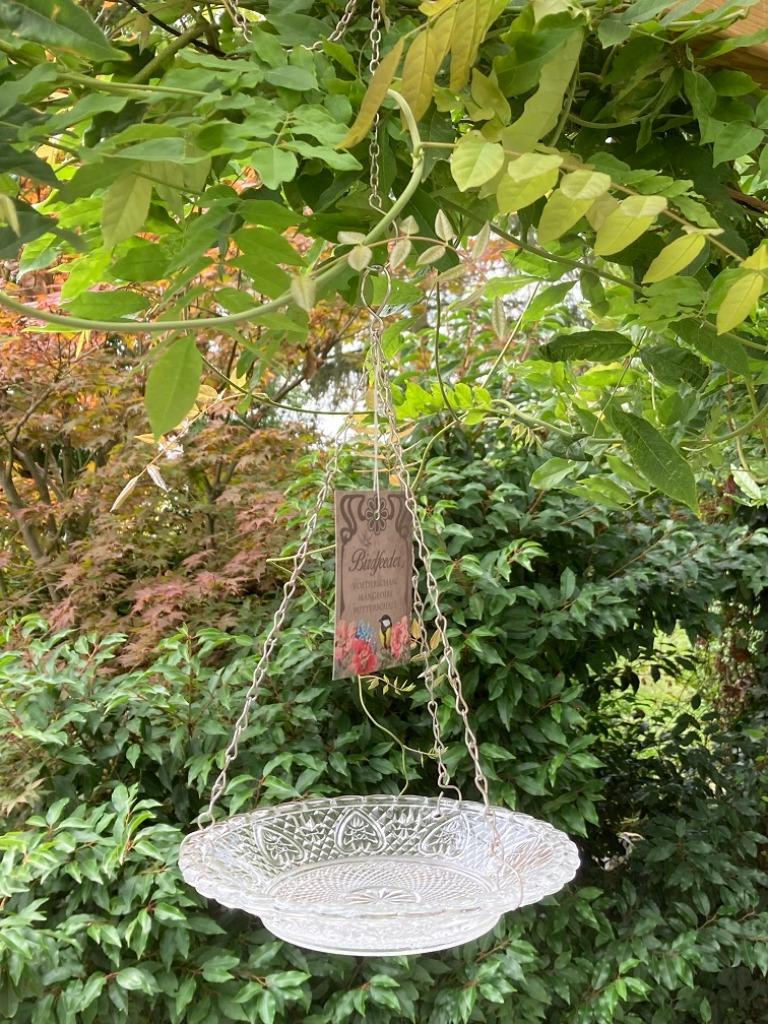 VOGEL VOEDERSCHAAL GLAS HELDER NIEUW, Ophalen of Verzenden, Nieuw