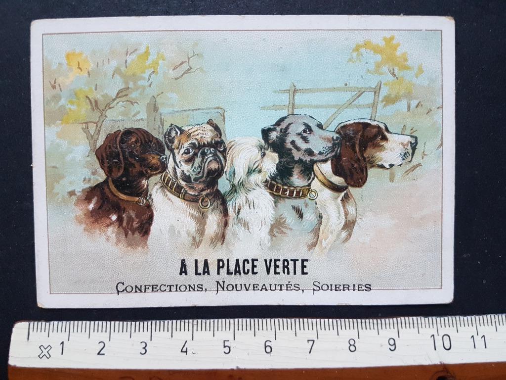 Chromo A la place verte Anvers Antwerpen Hond Honden, Verzamelen, Ophalen of Verzenden, Zo goed als nieuw, Voor 1940, Dier