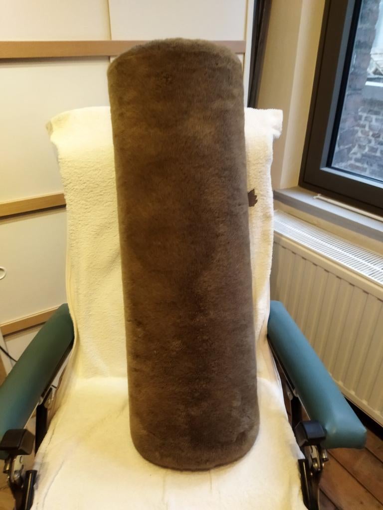 Coussin, Enlèvement, Comme neuf