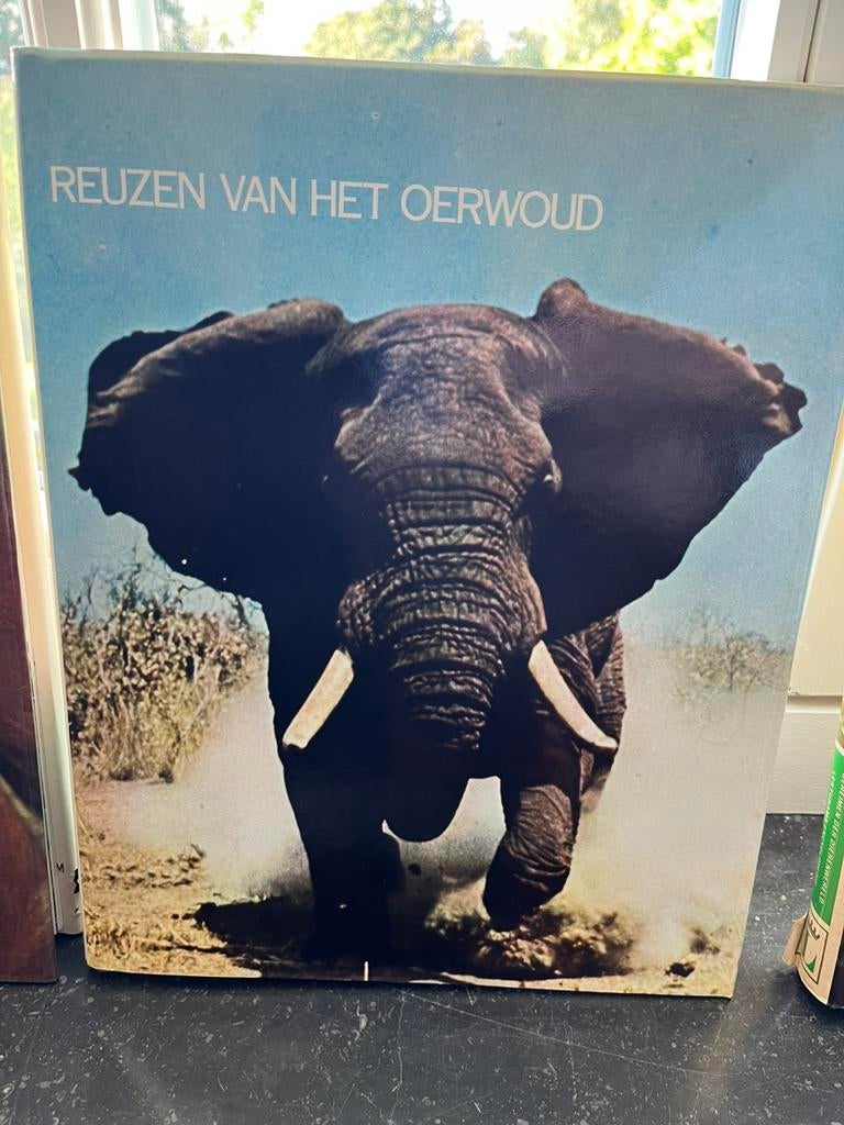 Encyclopedie Dierenwereld (10-delig), Ophalen of Verzenden, Gelezen