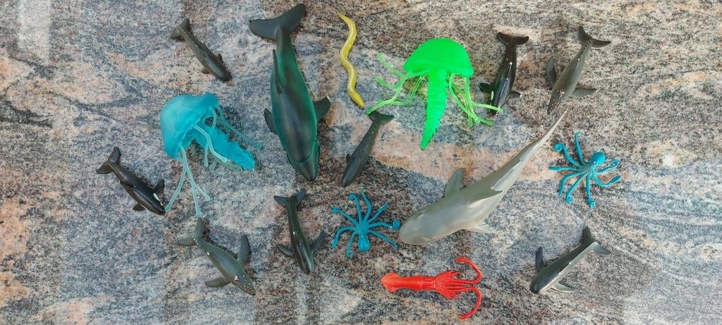 Set met vissen en andere zeedieren in perfecte staat., Ophalen of Verzenden, Zo goed als nieuw