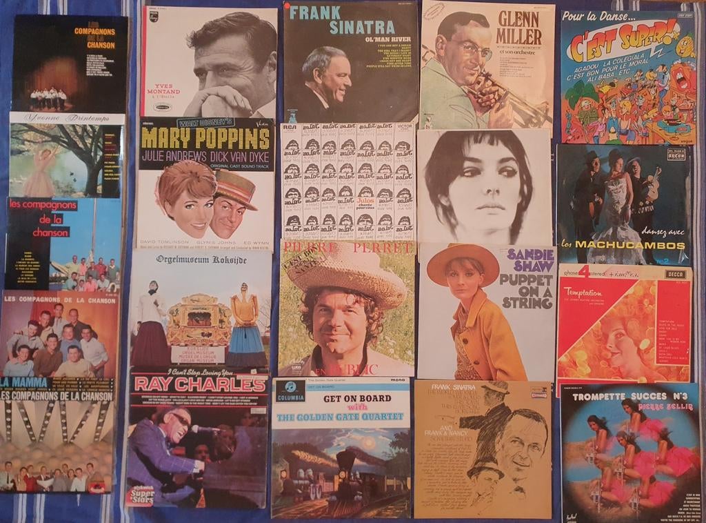 Lot d'une cinquentaine de disques vinyles 33 tours – Variété, Ophalen