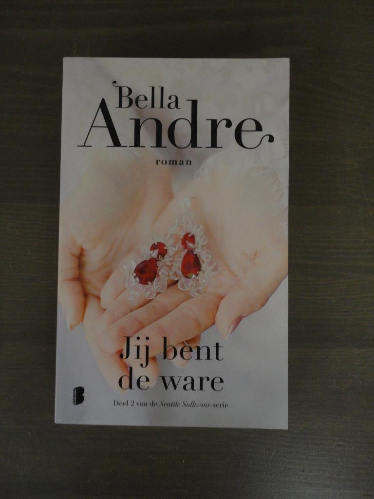 Seattle Sullivans 2 - Jij bent de ware - Bella Andre, Boeken, Ophalen of Verzenden, Zo goed als nieuw