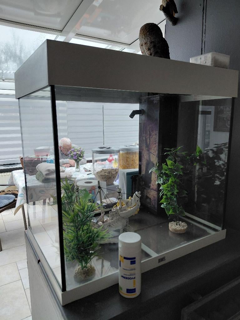 Aquarium, Enlèvement, Utilisé, Aquarium vide