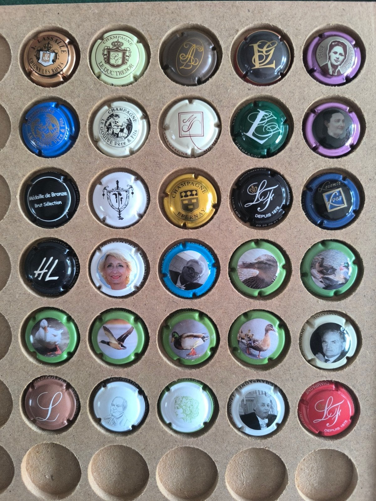 30 verschillende Champagne capsules met de letter L (10), Ophalen of Verzenden