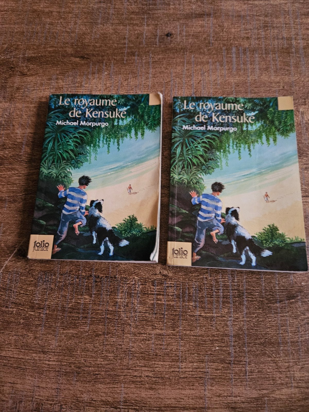 Le royaume de Kensuke, Livres, Enlèvement