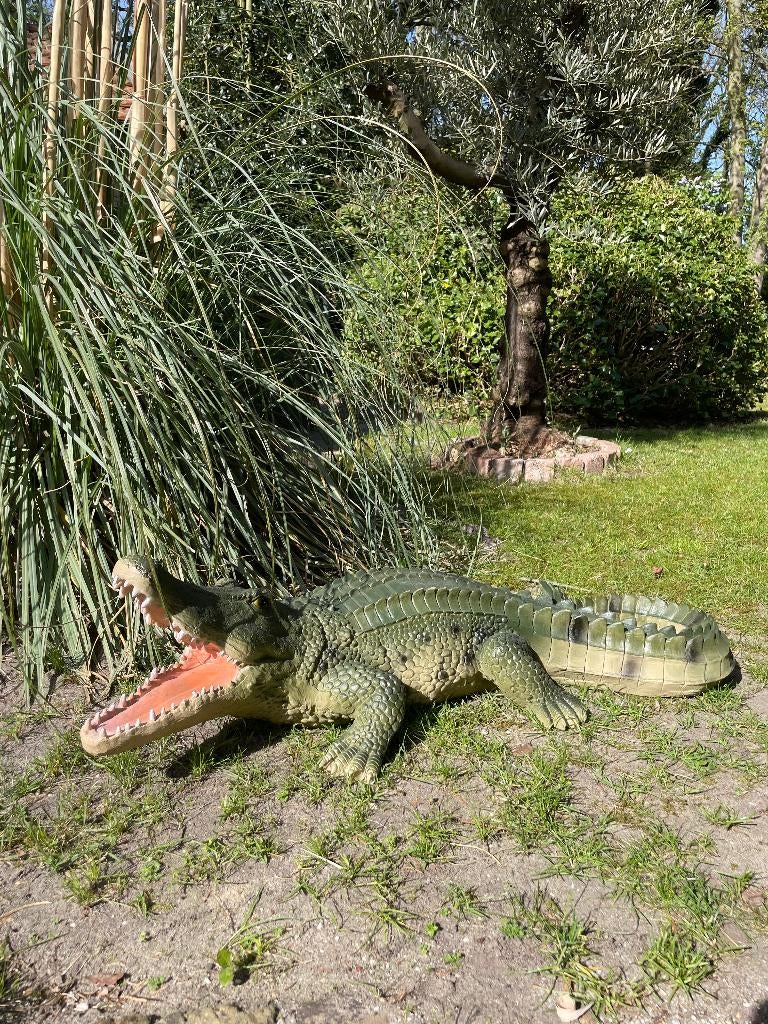 Krokodil groen, tuin, zwembad, vijver, boerderij 100cm, Tuin en Terras, Tuinbeelden, Nieuw, Dierenbeeld, Kunststof, Ophalen