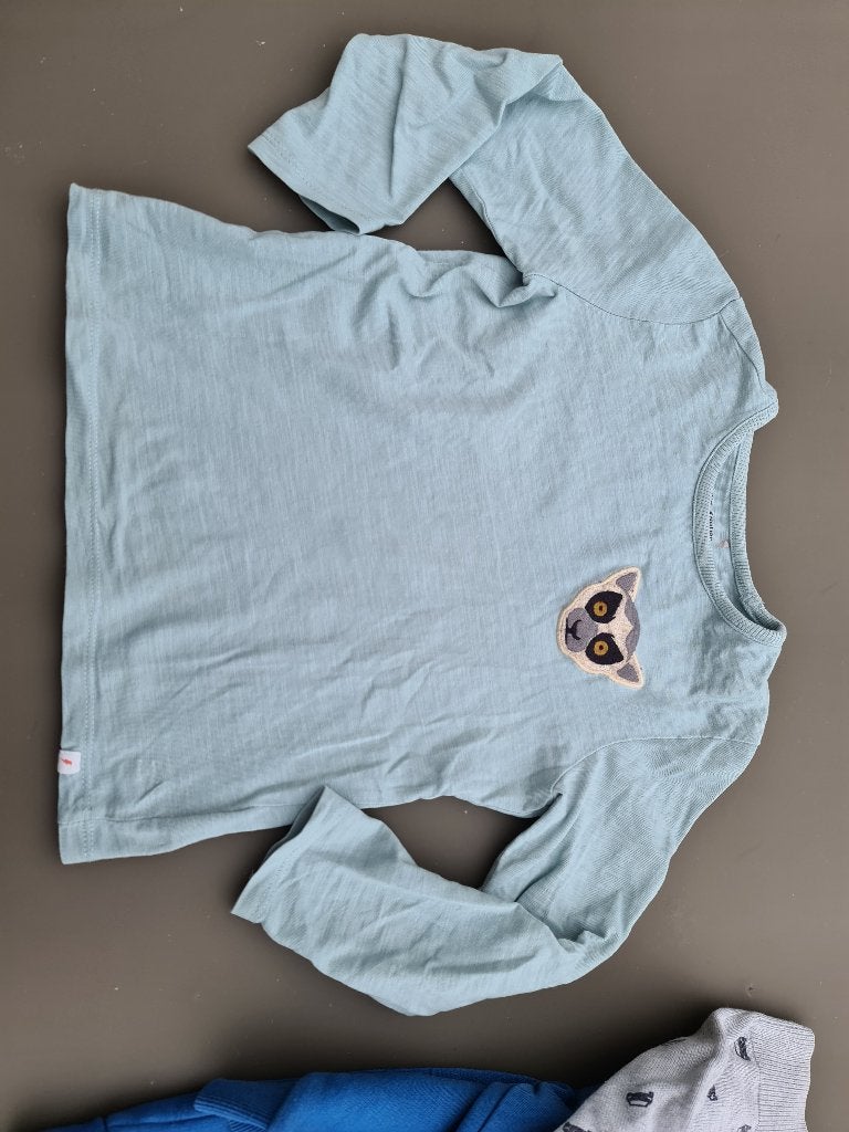 groen-blauwe trui, longsleef met dier, Kidz Nation 110, Enfants & Bébés, Vêtements enfant | Taille 110, Enlèvement, Comme neuf
