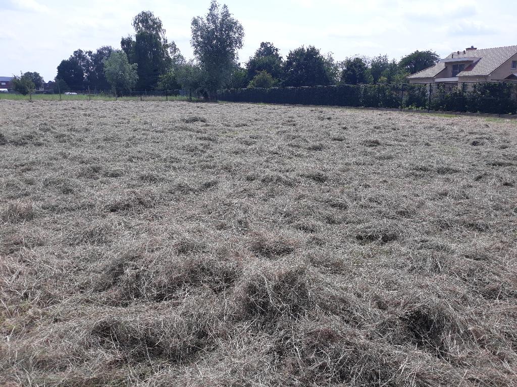 Hooi te koop, Ophalen