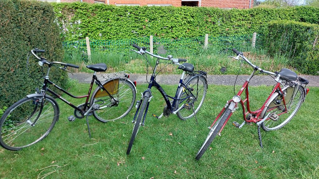 damesfietsen, Fietsen en Brommers, Fietsen | Dames | Damesfietsen, Gebruikt, Batavus, Versnellingen, Velgrem, Ophalen